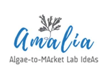 Amalia monitoring system