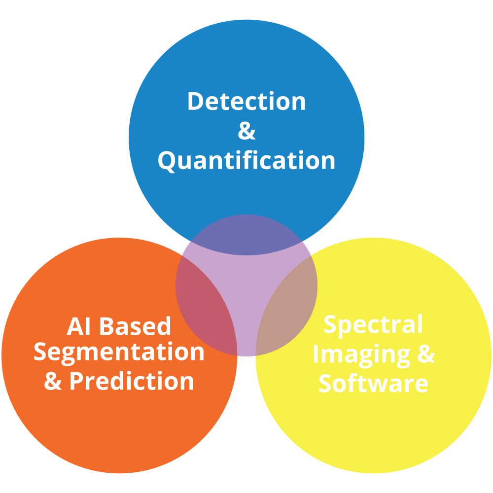 Research and development infographic