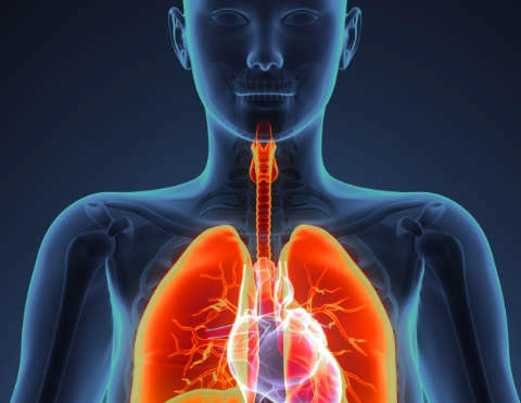 New applications & cancer probes